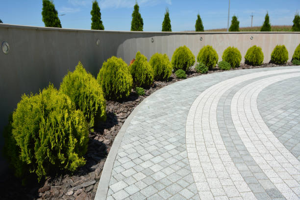 Best Custom Driveway Pavers  in Willmar, MN